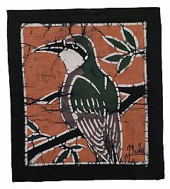 Photo for Blue Woodpecker