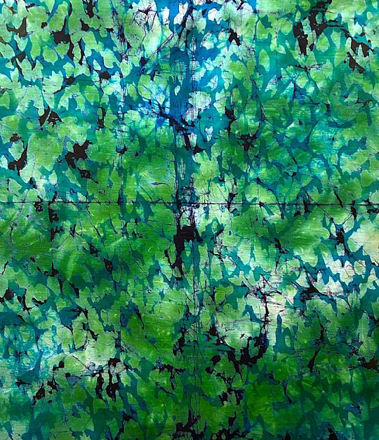 Photo for Esther 846