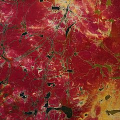 Photo for Esther 851