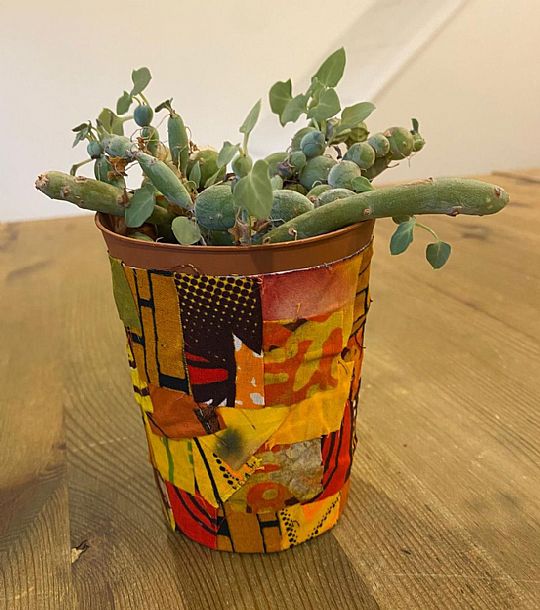 image for Sunshine Pot Plant Workshop