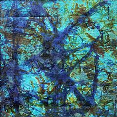 Photo for Hand-dyed - Wally 516